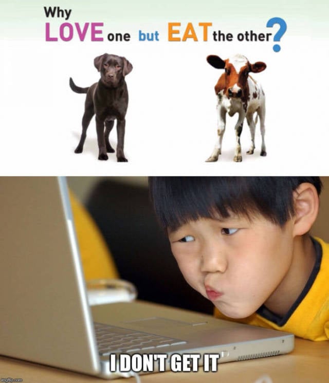 Funny Picdump