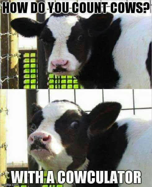 Funny Picdump