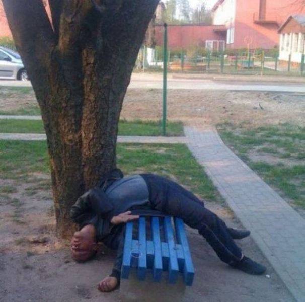 daily picdump 102 pics 51.html - 102 HD Photos | Premium Gallery 2017