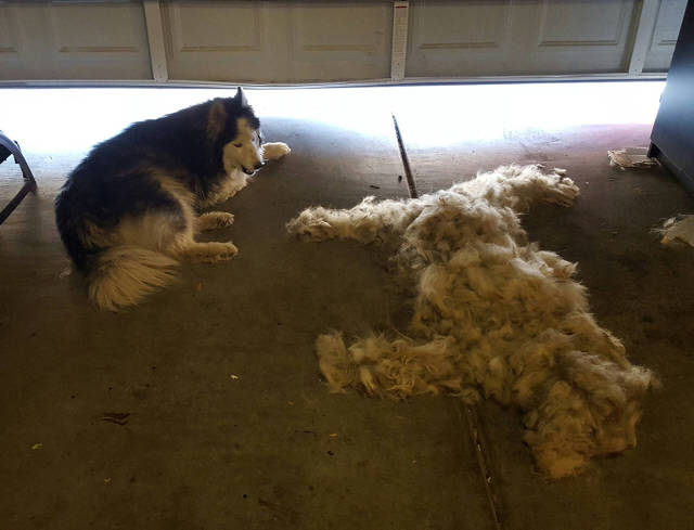 morning picdump 50 pics 7.html - 50 HD Photos | Premium Gallery 2017