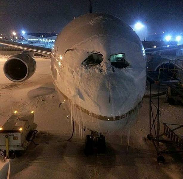 daily picdump weekend edition 52 pics 13.html - 52 HD Photos | Premium Gallery 2017