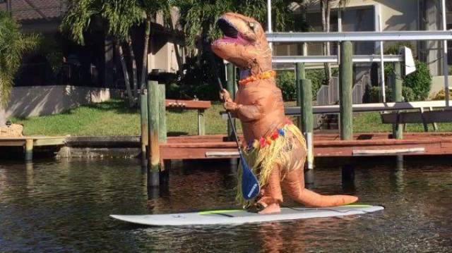 Daily Picdump