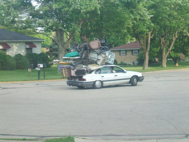 Daily Picdump