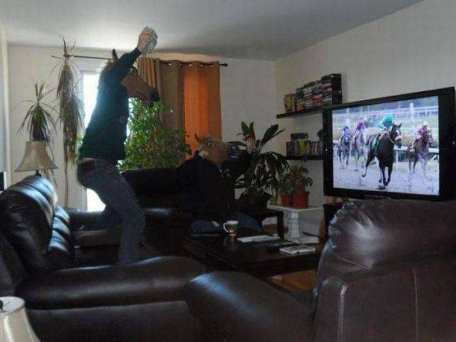 Daily Picdump
