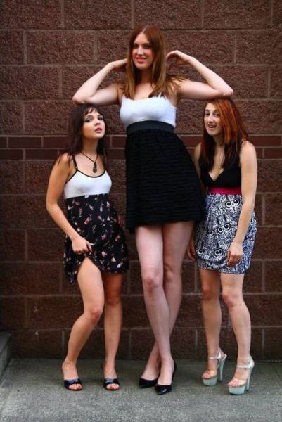 Daily Picdump