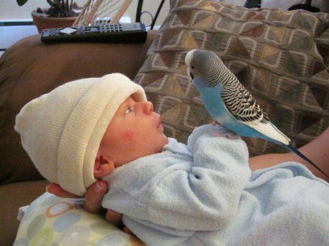 Daily Picdump