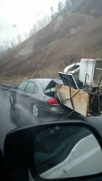 Daily Picdump