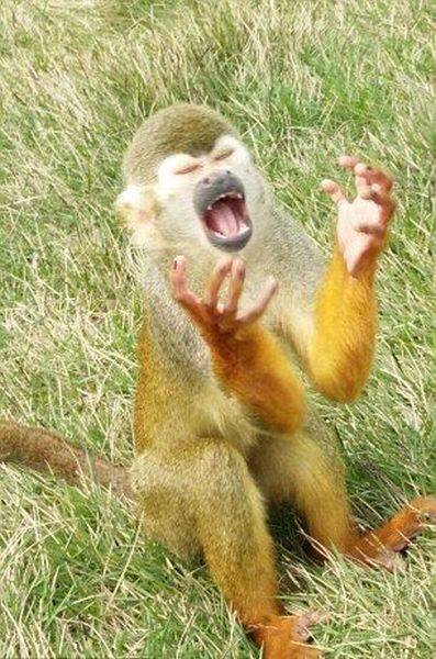 Daily Picdump