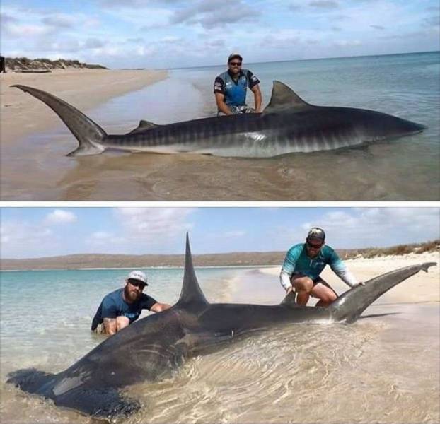 daily picdump 102 pics 43.html - 102 HD Photos | Premium Gallery 2017