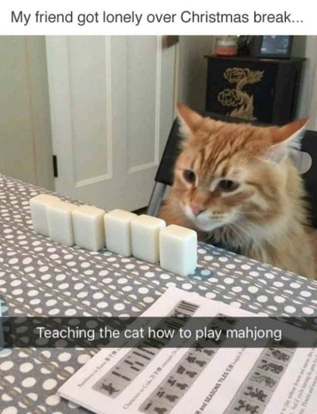 Daily Picdump