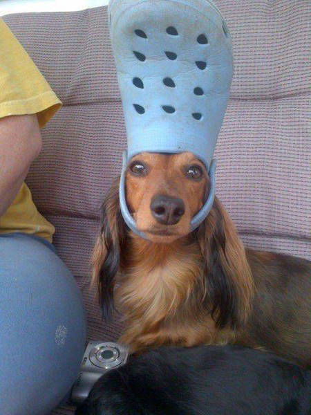 morning picdump 51 pics 12.html - 51 HD Photos | Premium Gallery 2017