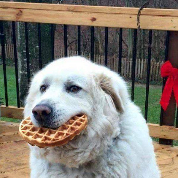 daily picdump 103 pics 49.html - 103 HD Photos | Premium Gallery 2017