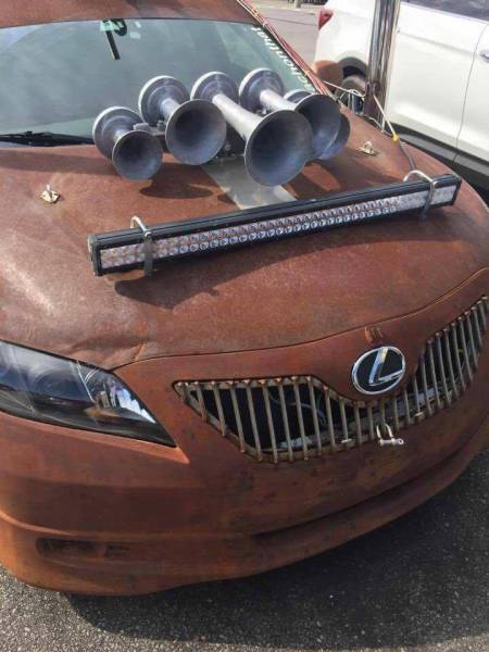 Morning Picdump