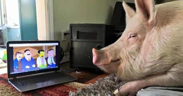 Daily Picdump