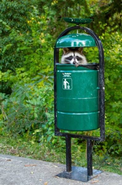 daily picdump 98 pics 12.html - 98 HD Photos | Premium Gallery 2017