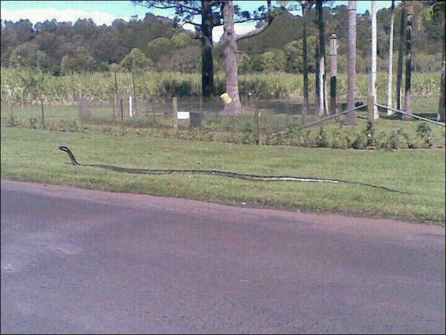 daily picdump 98 pics 12.html - 98 HD Photos | Premium Gallery 2017