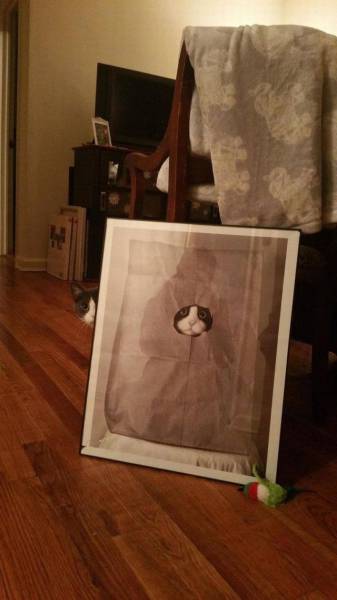 daily picdump 98 pics 12.html - 98 HD Photos | Premium Gallery 2017