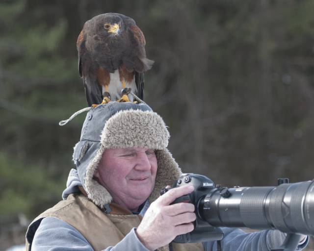 daily picdump 98 pics 12.html - 98 HD Photos | Premium Gallery 2017