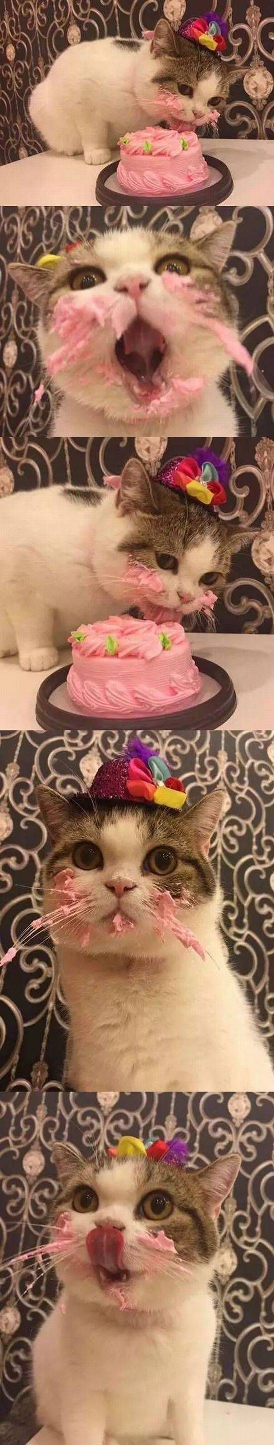 daily picdump 98 pics 12.html - 98 HD Photos | Premium Gallery 2017