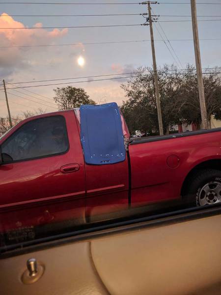 morning picdump 51 pics 2.html - 51 HD Photos | Premium Gallery 2017